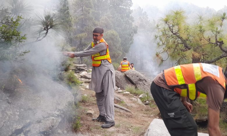 forest-fire-rages-in-lower-dir-despite-four-day-battle
