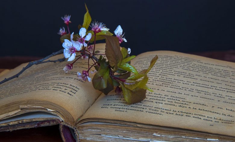 rediscovering-the-lost-art-of-reading-bridging-the-gap-between-books-and-technology