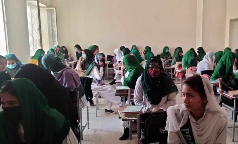 kp-government-announces-new-college-admission-policy-girls-barred-from-boys-colleges