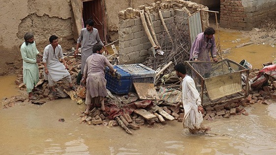 heavy-rains-claim-six-lives-in-khyber-pakhtunkhwa-over-100-fatalities-reported-since-july-pdma