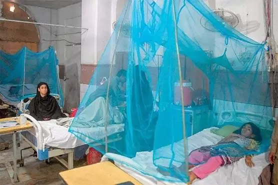 dengue-surge-how-climate-change-fuels-a-public-health-crisis-in-khyber-pakhtunkhwa