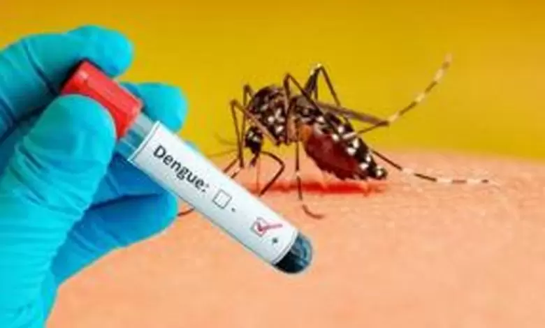 dengue-cases-surge-in-khyber-pakhtunkhwa-total-tally-reaches-1081
