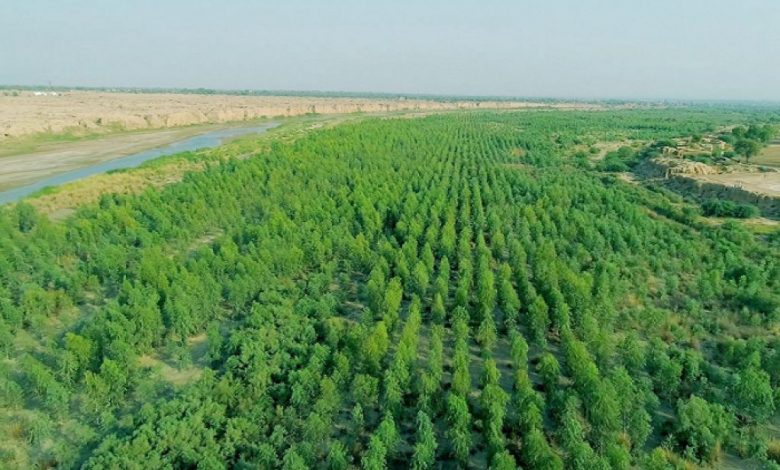 khyber-pakhtunkhwa-spends-over-203-billion-on-413-environmental-projects-to-combat-pollution