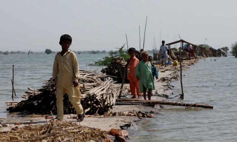 pakistan-calls-for-global-action-to-combat-climate-change-at-international-court-of-justice