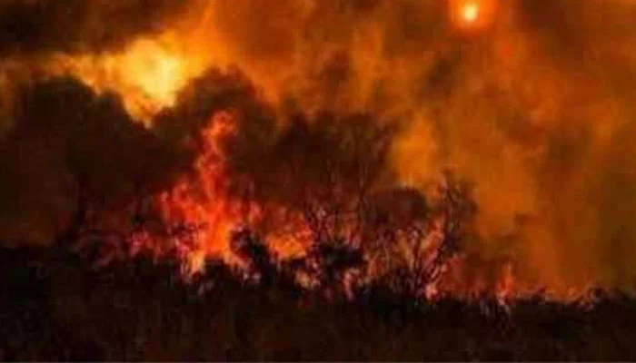 wildfire-rages-through-koh-e-suleman-forests-in-dera-ismail-khan