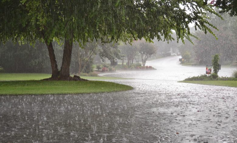 powerful-western-weather-system-to-impact-pakistan-until-february-22-bringing-rain-and-snow
