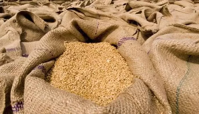 major-corruption-scandal-uncovered-in-khyber-pakhtunkhwa-1700-metric-tons-of-wheat-missing-from-nowshera-storeroom