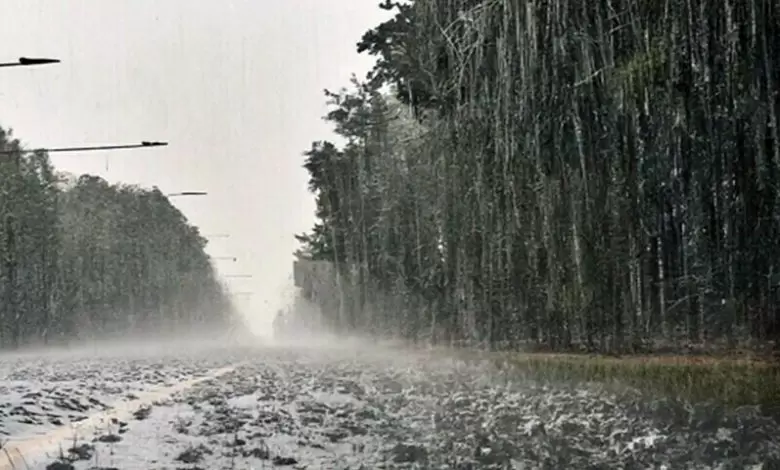 rain-alert-issued-for-khyber-pakhtunkhwa-pdma-urges-precaution-ahead-of-may-812-wet-spell-