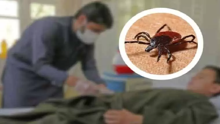 two-congo-virus-cases-confirmed-in-karak-patients-shifted-to-peshawar