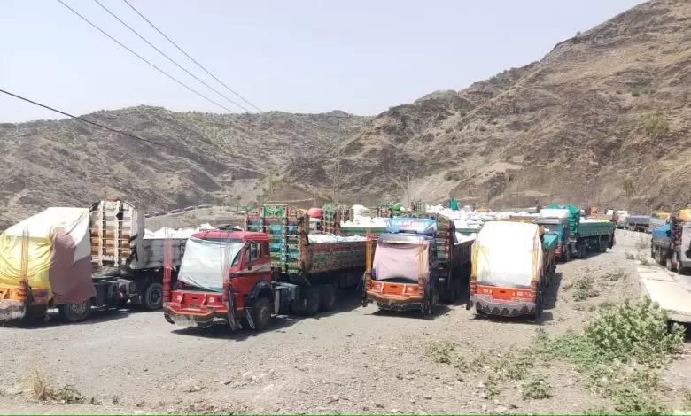 documentation-row-leaves-hundreds-of-afghan-coal-soapstone-trucks-stranded-at-torkham