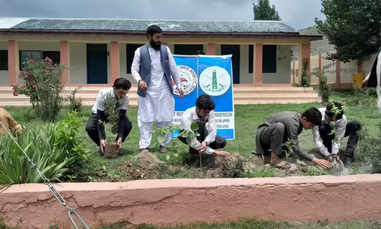 tree-plantation-drive-launched-across-ladha-to-promote-green-south-waziristan