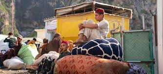 unhcr-urges-pakistan-to-halt-forced-deportations-of-afghan-refugees