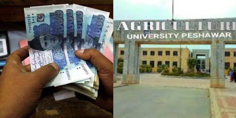 kp-govt-releases-rs36-billion-to-clear-pension-liabilities-in-public-universities