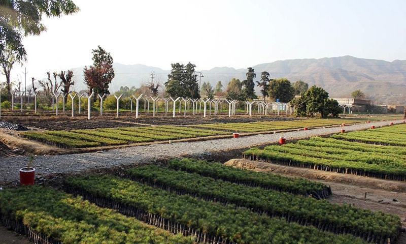 what-steps-is-the-khyber-pakhtunkhwa-government-taking-to-address-climate-change