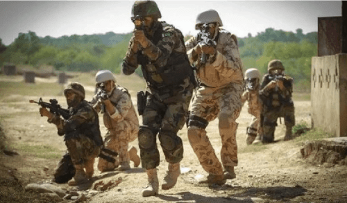 eight-militants-killed-in-intelligence-based-operation-in-lakki-marwat