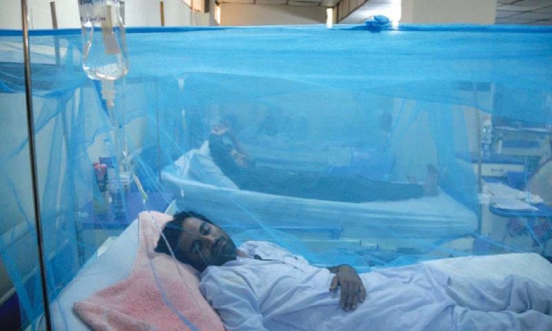 rising-dengue-cases-in-kp-spark-concern-as-experts-link-surge-to-climate-conditions