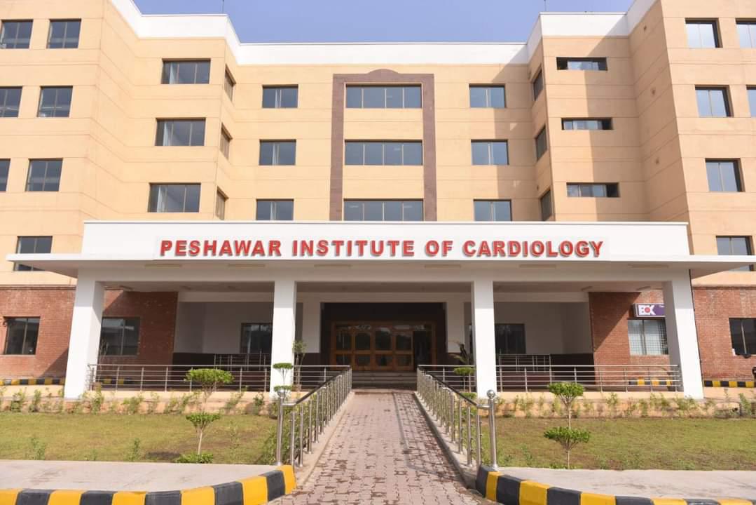 pic-sees-surge-in-patients-from-punjab-sindh-and-afghanistan