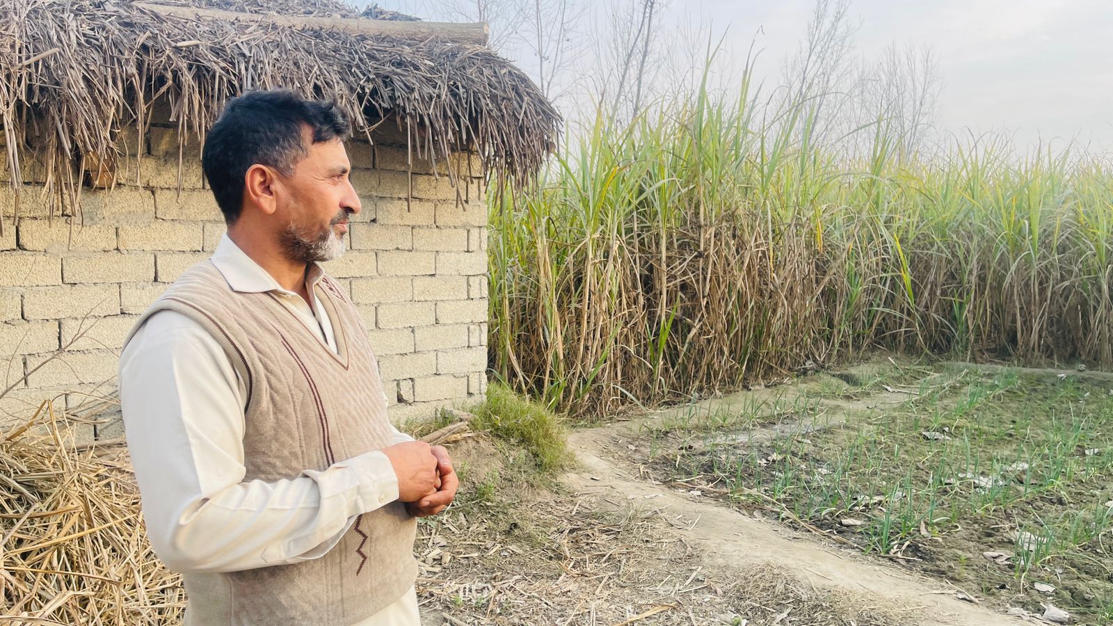 canal-irrigation-fails-to-meet-demand-farmers-struggle-amid-water-crisis