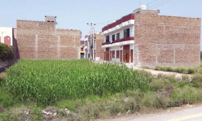 kp-loses-400000-hectares-of-farmland-as-illegal-housing-schemes-spread