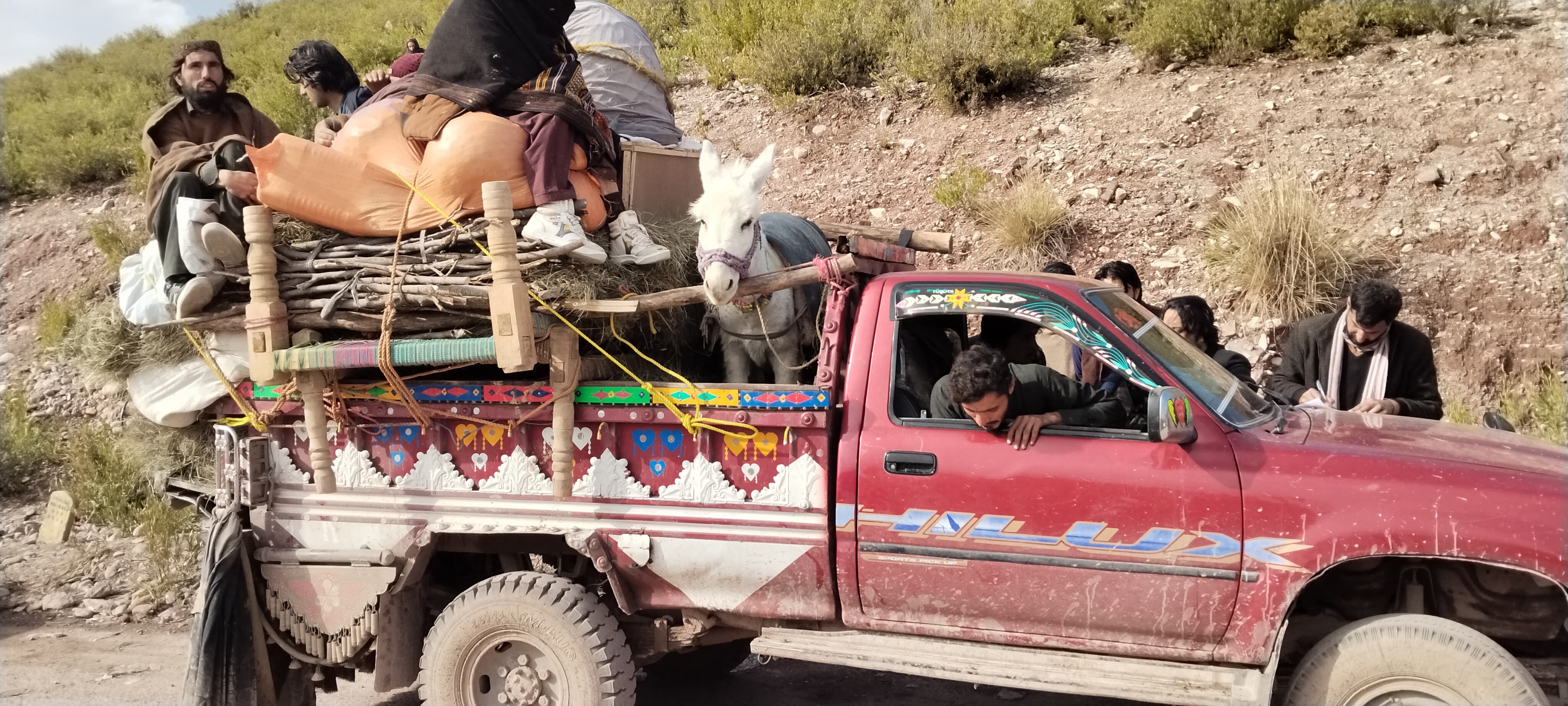 district-khyber-announces-staggered-rent-aid-schedule-to-manage-idp-rush
