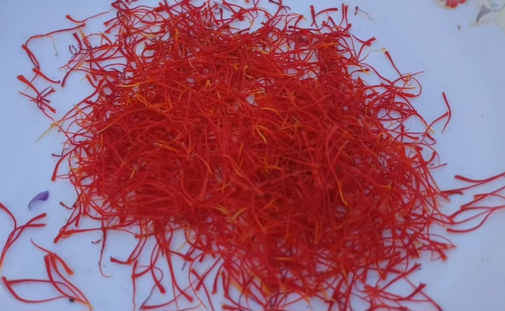 from-wheat-to-gold-saffron-farming-takes-root-in-kurram-and-upper-dir