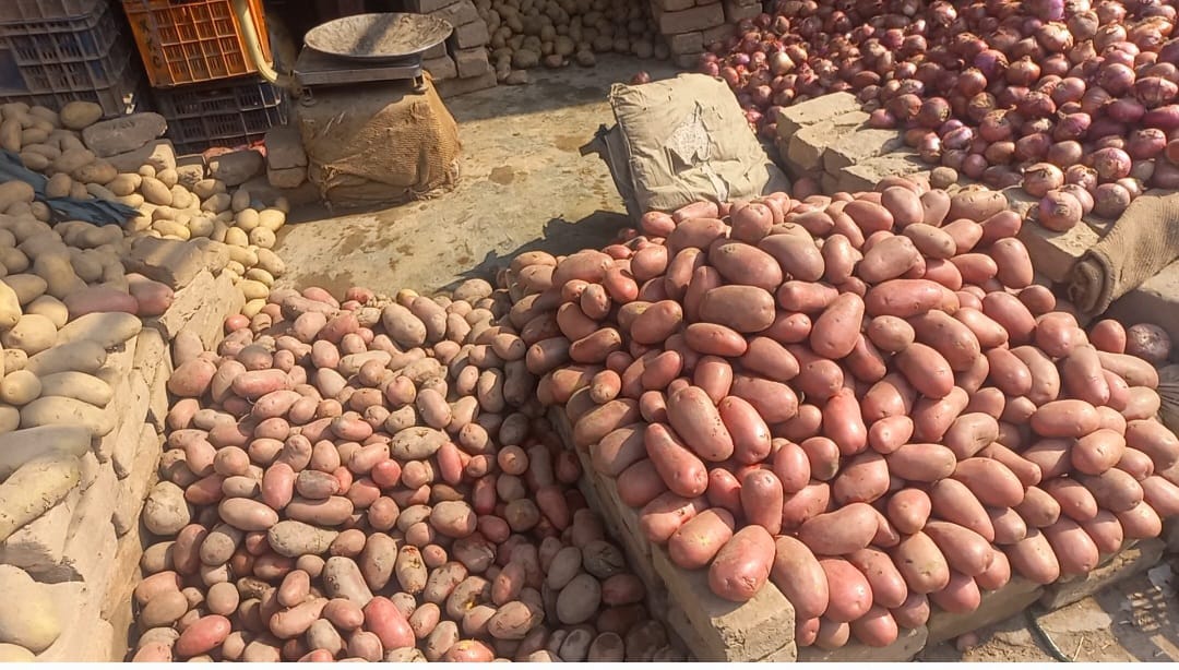 potato-prices-plunge-in-peshawar-farmers-struggle-despite-public-relief