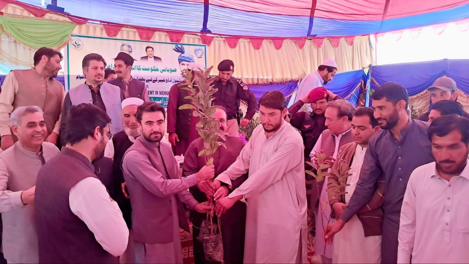 jamrud-leads-green-push-as-certified-fruit-and-olive-plants-distributed-to-farmers-in-merged-districts