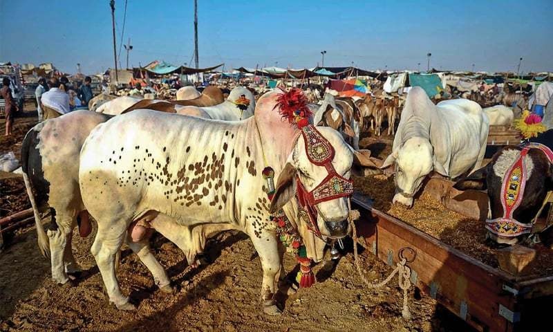 rising-prices-and-transport-costs-deepen-burden-on-public-ahead-of-eidul-azha