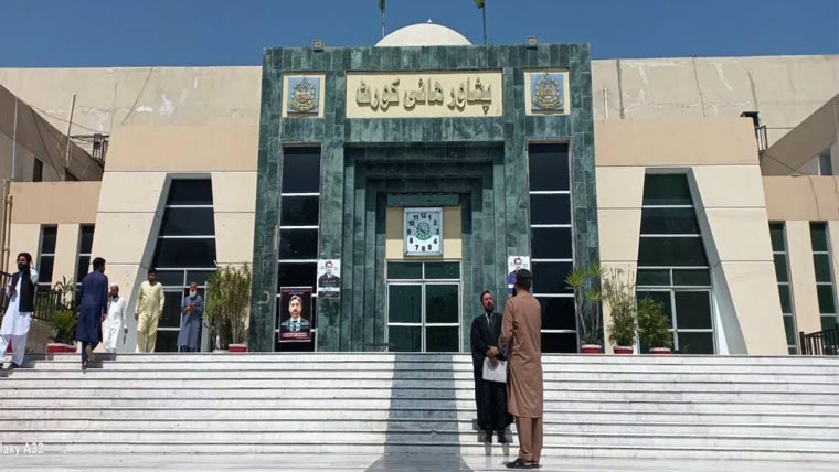 peshawar-high-court-alarmed-as-rat-bite-cases-child-deaths-spark-public-health-concerns