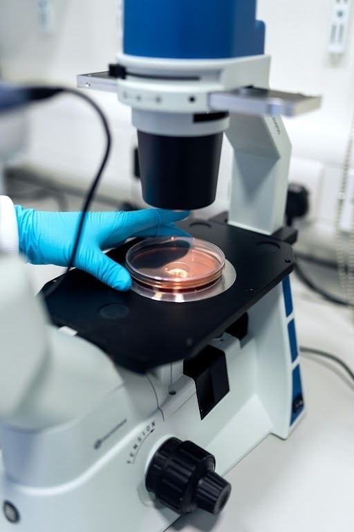 n-acetyl-selank-neuroregulatory-peptide-research