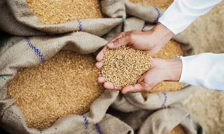 kp-govt-maintains-daily-wheat-release-to-keep-flour-supply-stable