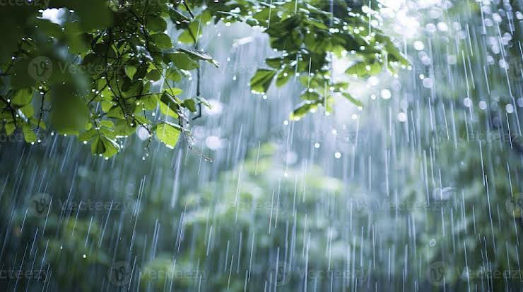 rain-likely-across-most-parts-of-kp-over-next-24-hours