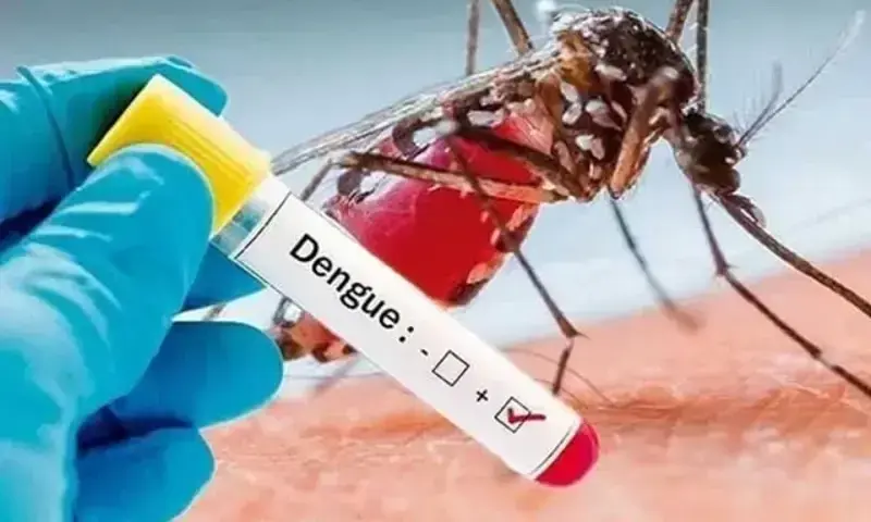 kohat-emerges-as-kps-worst-hit-district-in-dengue-outbreak