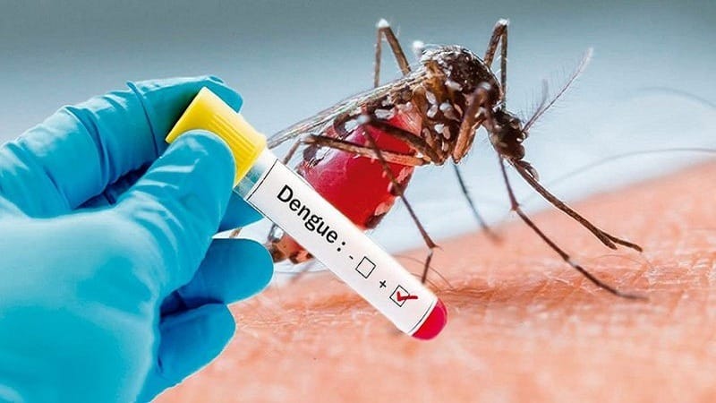 dengue-threat-grows-across-khyber-pakhtunkhwa