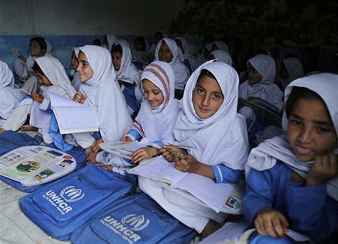 30-years-in-the-classroom-now-facing-unemployment-the-teachers-left-behind