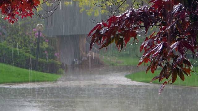 pdma-issues-weather-alert-for-kp-as-rain-spell-approaches