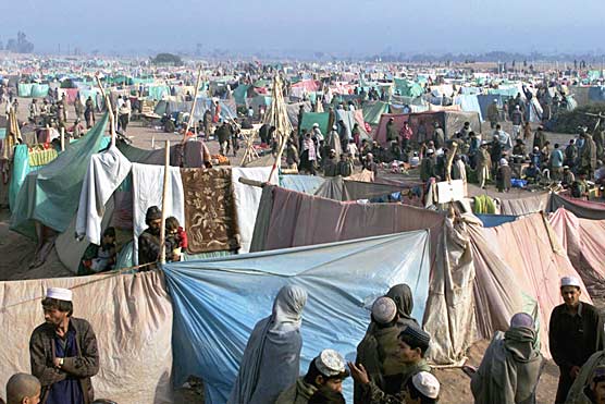 A large number of Afghan refugees in Dera Ismail Khan are forced to live in tents after destruction of their houses in last year floods.