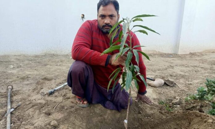 Khizar Wali Chishti, a resident of Pakpattan has planted over 100,000 trees in eight years.