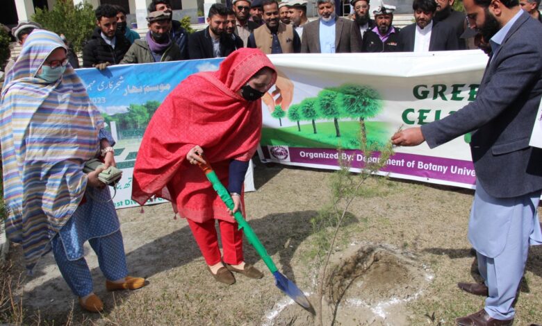 combating-climate-change-citizens-should-plant-trees-everywhere