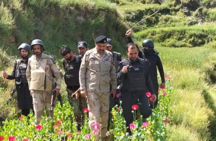 Opium-Swabi-720x470
