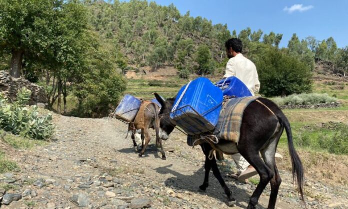 Centuries-Old Homes Abandoned as Natural Springs Dry Up in Bajaur