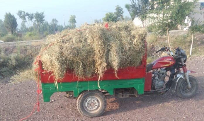 Police Foil Suicide Attack-Rickshaw Laden with Explosives Intercepted in Khyber