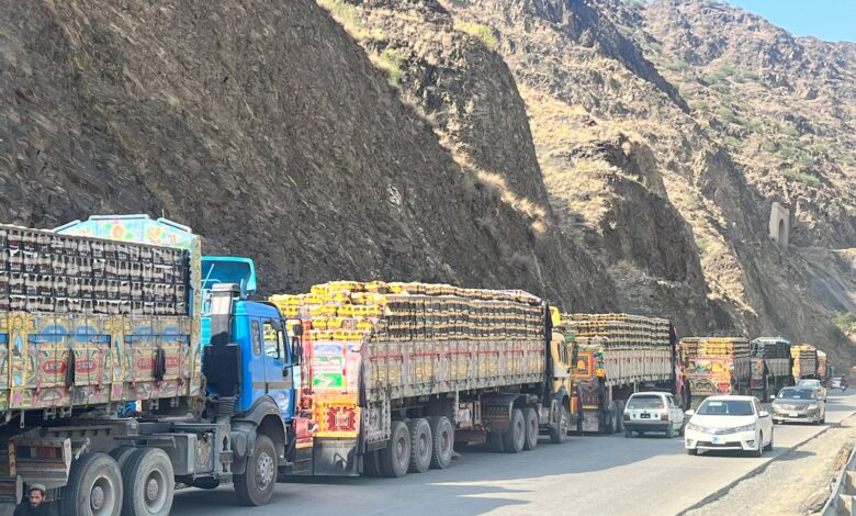 protest-erupts-as-hundreds-of-fresh-produce-vehicles-await-border-clearance
